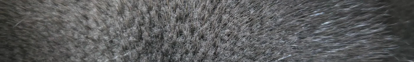 fe2b73aa-6ba9-48eb-b4c4-2f12d73e2b78-screenshot_20260317_160938_gallery.jpg